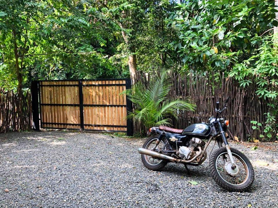 Le Cabanon Apartment Dikwella Ngoại thất bức ảnh