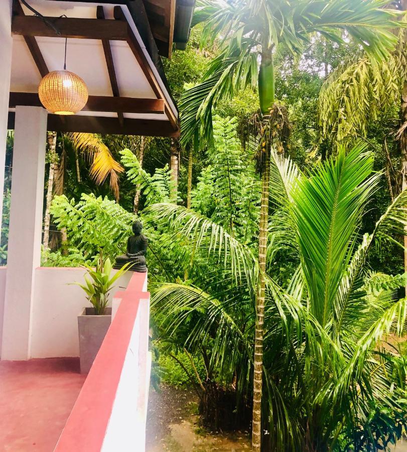 Le Cabanon Apartment Dikwella Ngoại thất bức ảnh